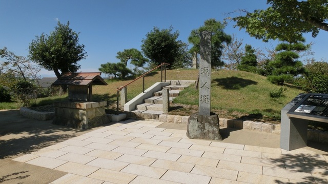 CIMG1354.JPG