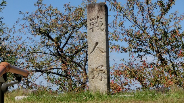 CIMG1364.JPG